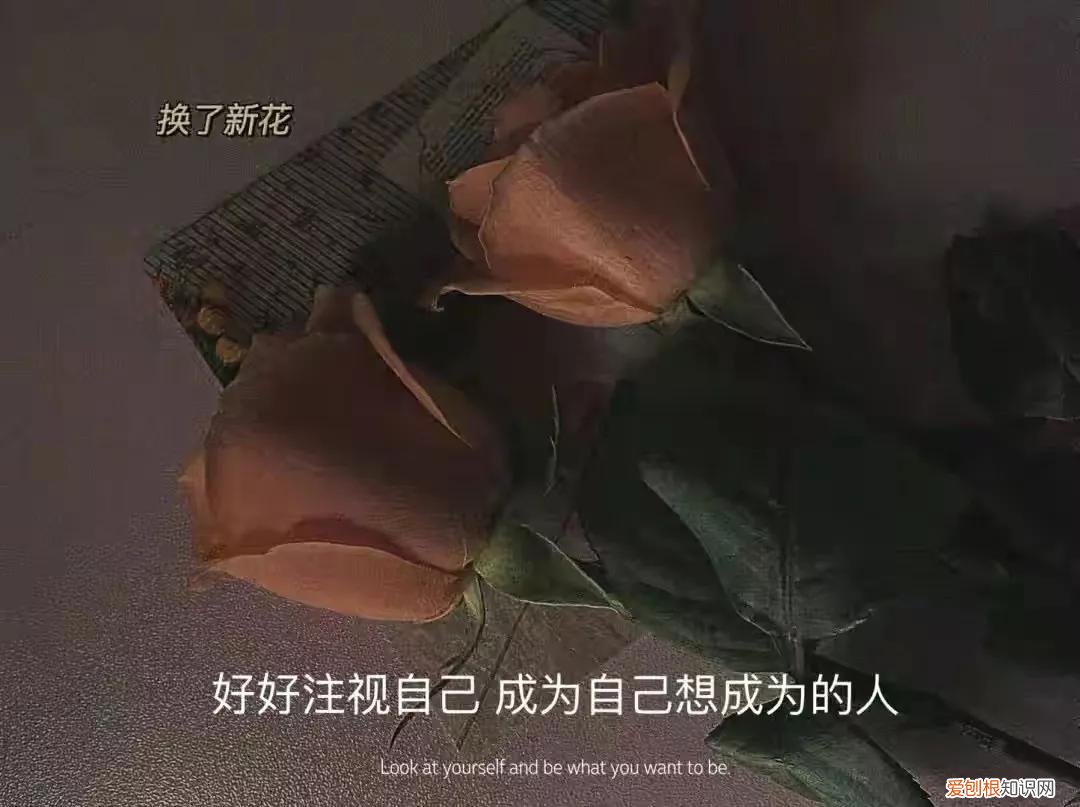 越无杂质的奔赴，越是动人 坚持下去的励志句子
