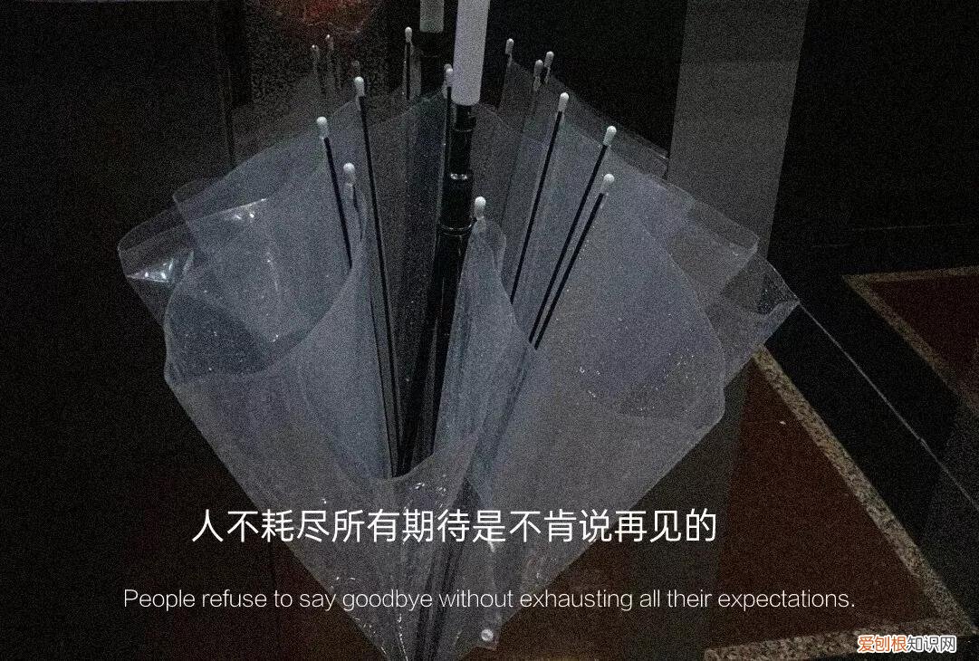 越无杂质的奔赴，越是动人 坚持下去的励志句子