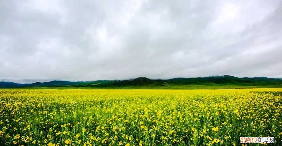 个个美如画，少去一个都可惜 青海旅游攻略必去景点大全