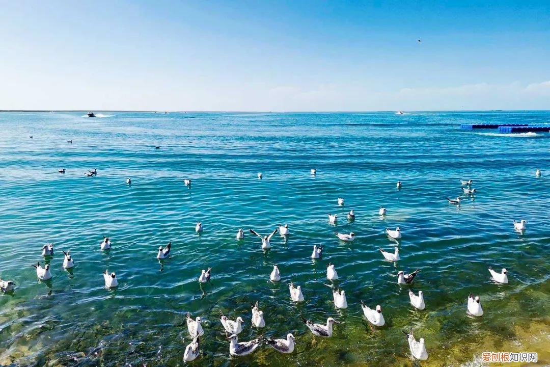 个个美如画，少去一个都可惜 青海旅游攻略必去景点大全