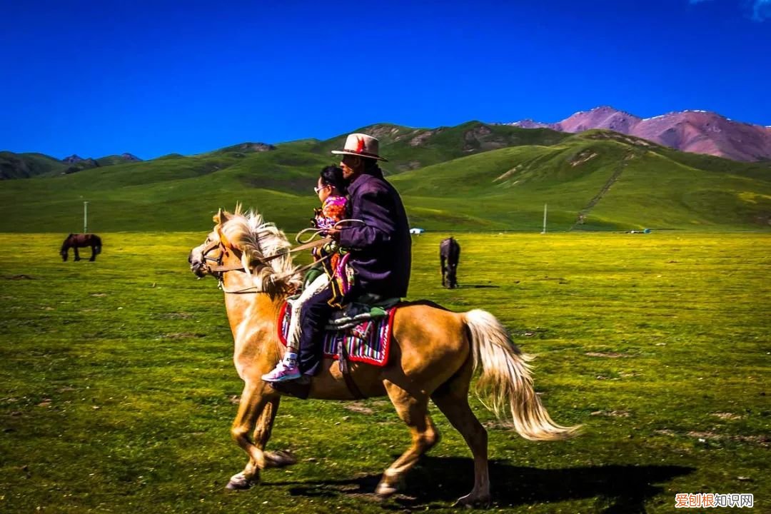 个个美如画，少去一个都可惜 青海旅游攻略必去景点大全