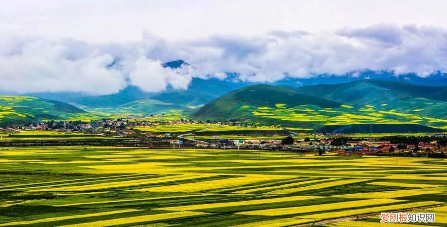 个个美如画，少去一个都可惜 青海旅游攻略必去景点大全