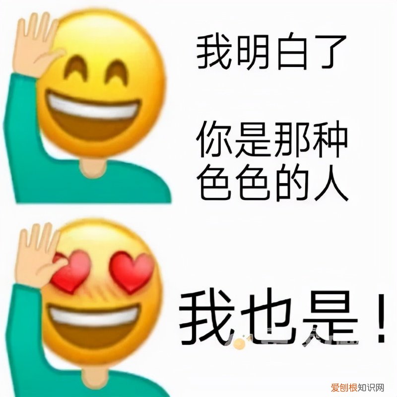 顾名思义等于裤衩子的谐音 苦茶子是什么梗