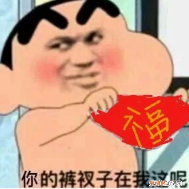 顾名思义等于裤衩子的谐音 苦茶子是什么梗
