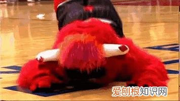 吃毛肚，你真的了解它吗? 毛肚是什么