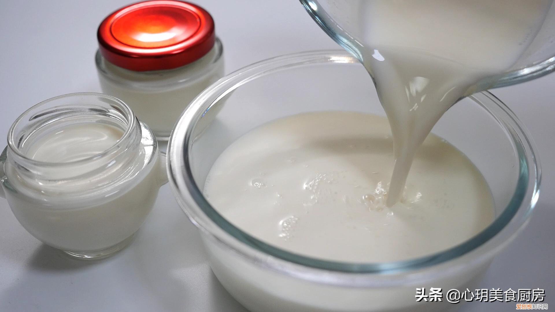 酸奶机怎么做酸奶？自制酸奶这么简单，只需要3个步骤
