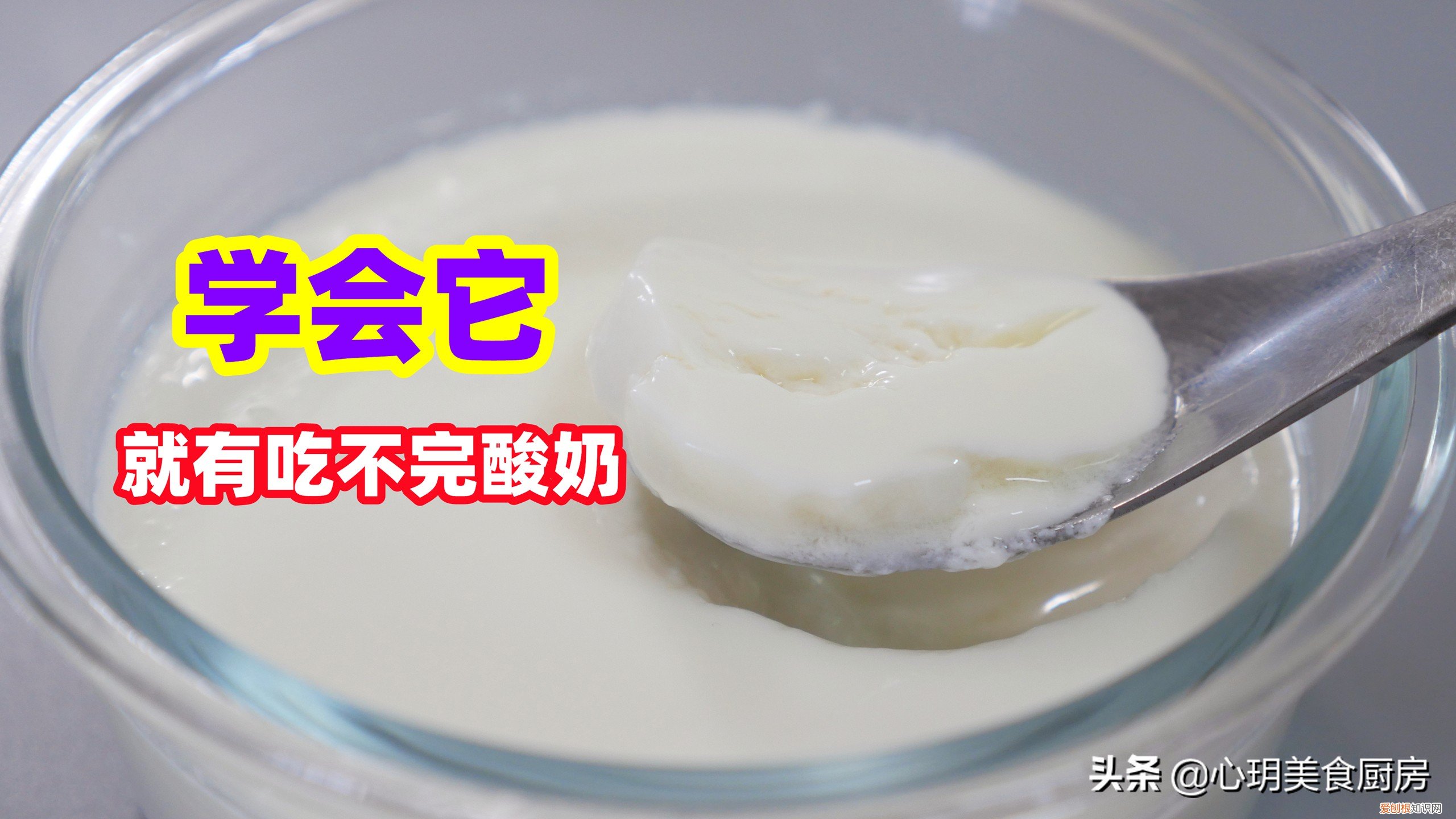 酸奶机怎么做酸奶？自制酸奶这么简单，只需要3个步骤