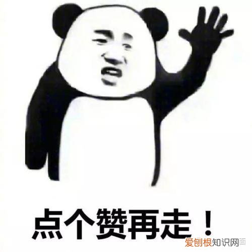 油烟机哪个牌子好？13款优质油烟机推荐
