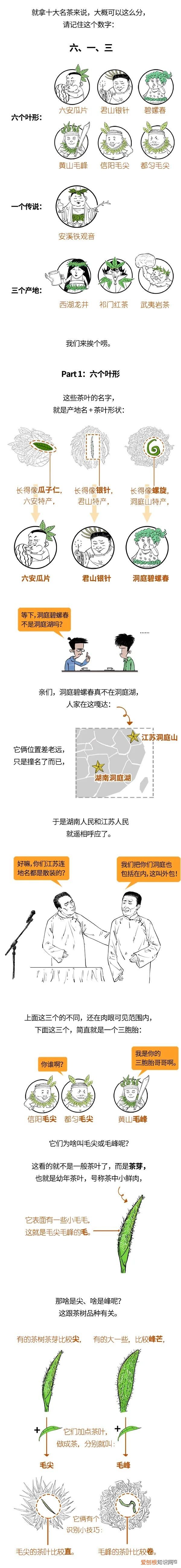 中国十大名茶有哪些？一口气搞懂中国十大名茶
