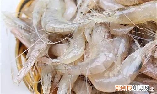 白鱼、银鱼和白虾 太湖三白是哪三白