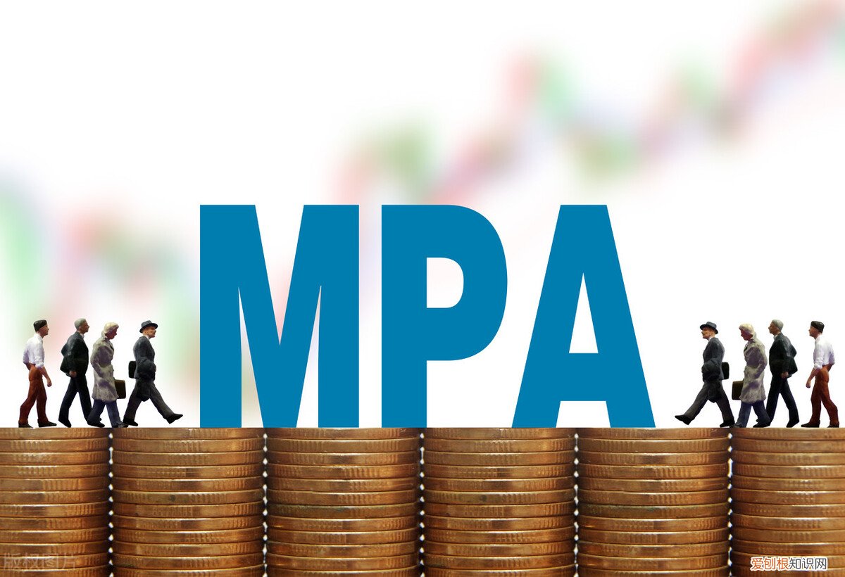 MPA是公共管理硕士 mpa是什么意思呀