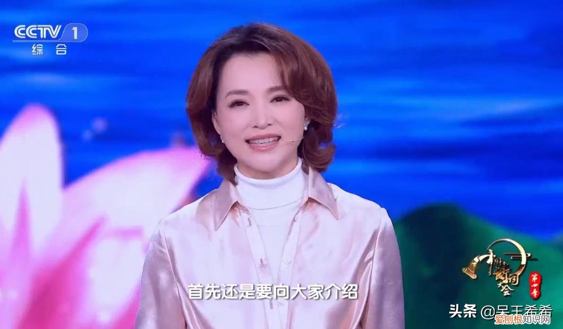 央视主持人董卿去哪了? 董卿为什么被央视解雇原因