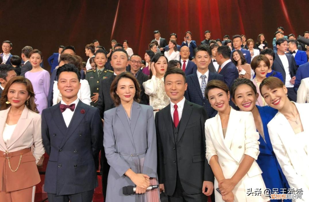 央视主持人董卿去哪了? 董卿为什么被央视解雇原因