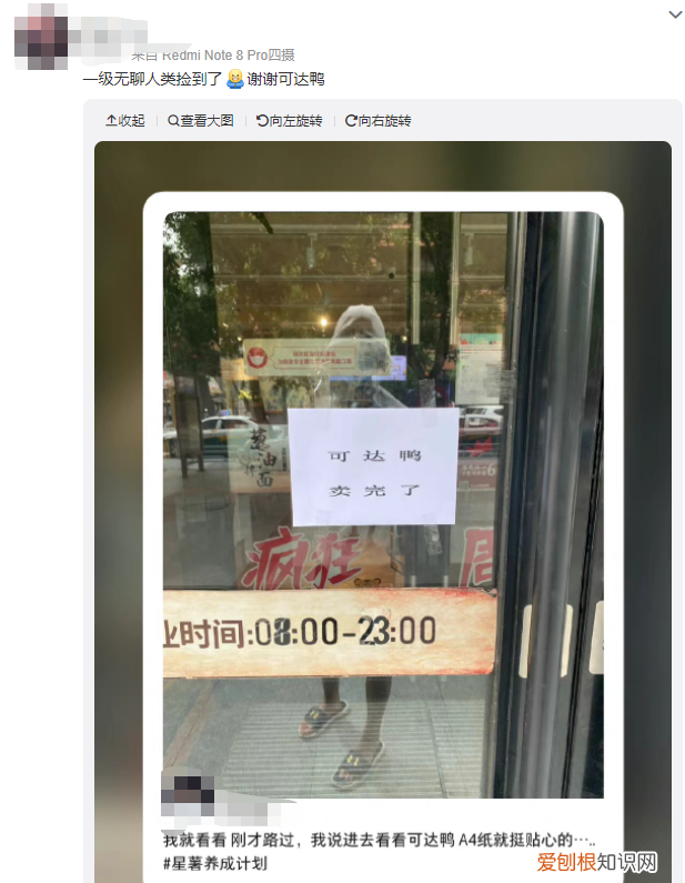 可达鸭为什么火了？网友：看了就想笑，很解压