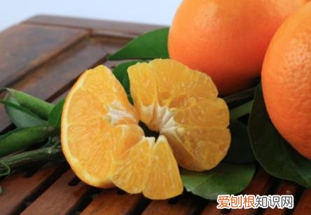 沃柑是橘子还是橙子？是由橙子和橘子杂交来的