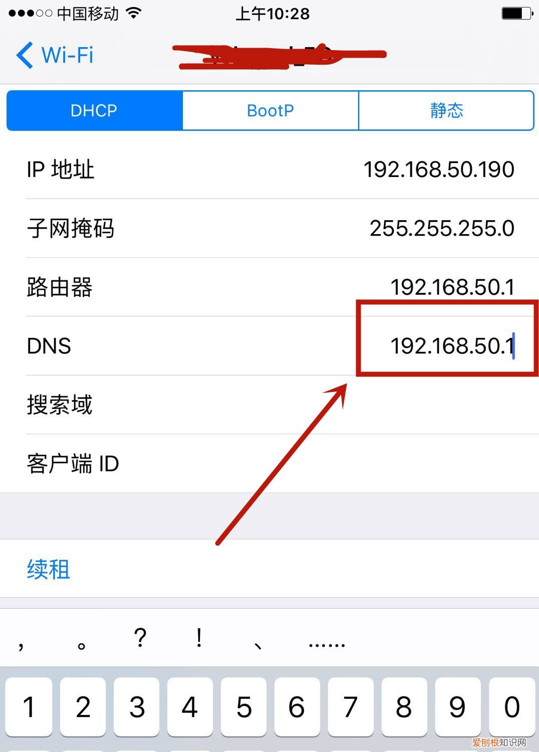 DNS，修改几个数字就能提升网速? dns是什么意思