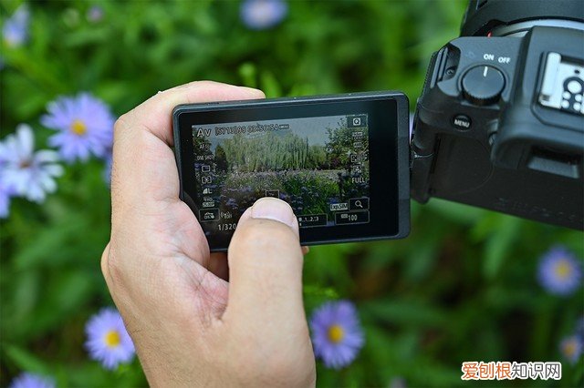 这5款产品颠覆你的认知 入门级单反相机推荐