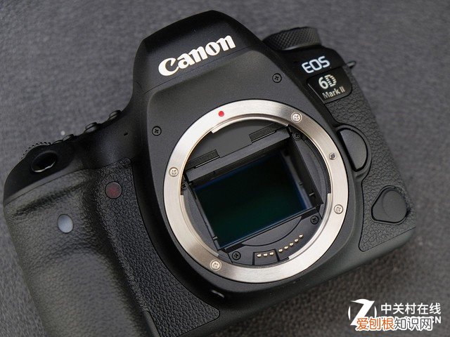 这5款产品颠覆你的认知 入门级单反相机推荐
