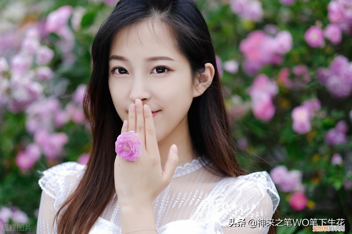 我对伊人的理解 伊人是什么意思