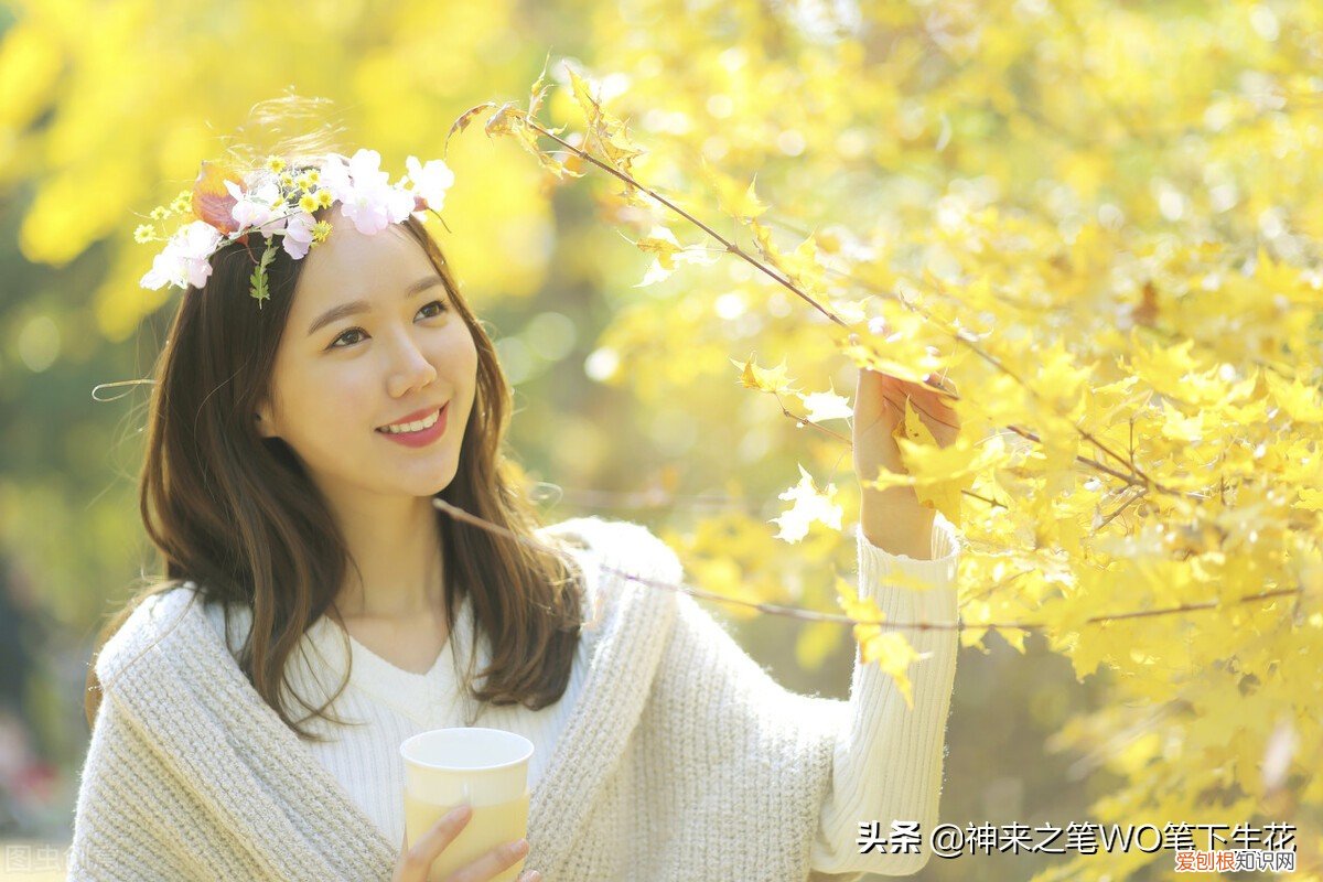 我对伊人的理解 伊人是什么意思