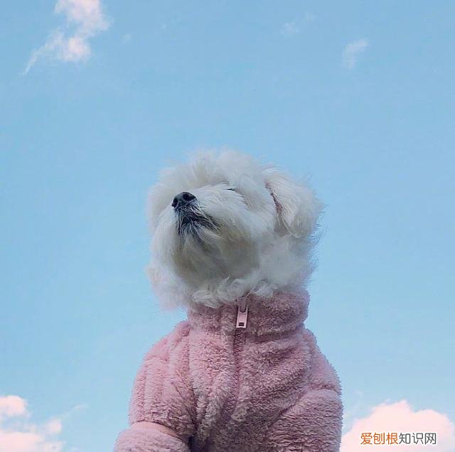 朋友圈最精辟的励志语录推荐 积极向上阳光励志短语