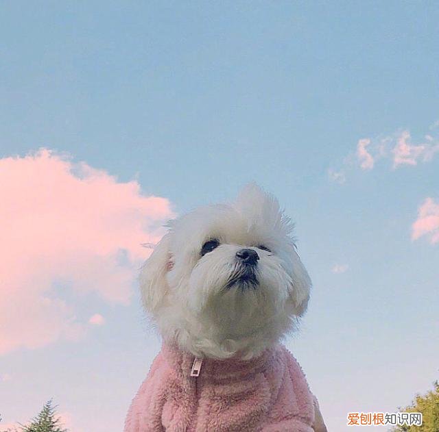 朋友圈最精辟的励志语录推荐 积极向上阳光励志短语