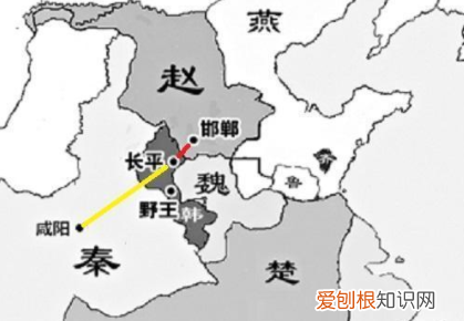 叫赵括，赵国名将赵奢的儿子 纸上谈兵的主人公是谁