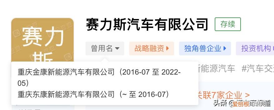 隶属于重庆小康工业集团 赛力斯汽车哪个厂家