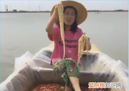 老八吃屎原视频真的假的?吃假粑粑导致账号被封