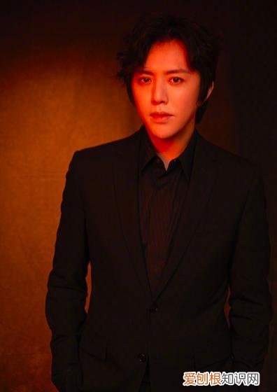 李云迪被打马赛克 披荆斩棘的哥哥马赛克是谁