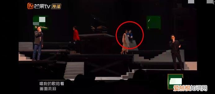 李云迪被打马赛克 披荆斩棘的哥哥马赛克是谁