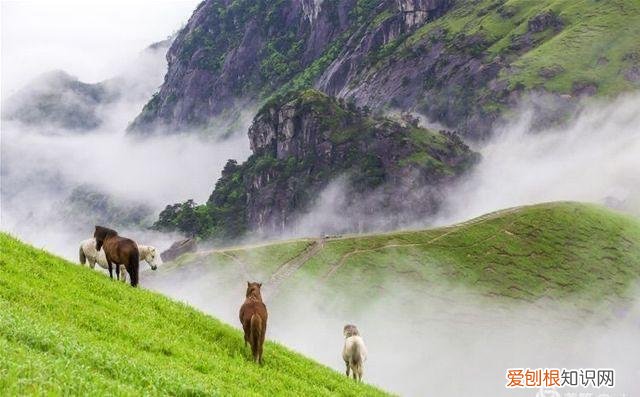 武功山在哪里？位于中国江西省中西部