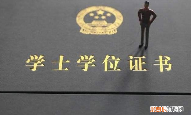 专升本第一学历是本科还是专科?教育部回应来了