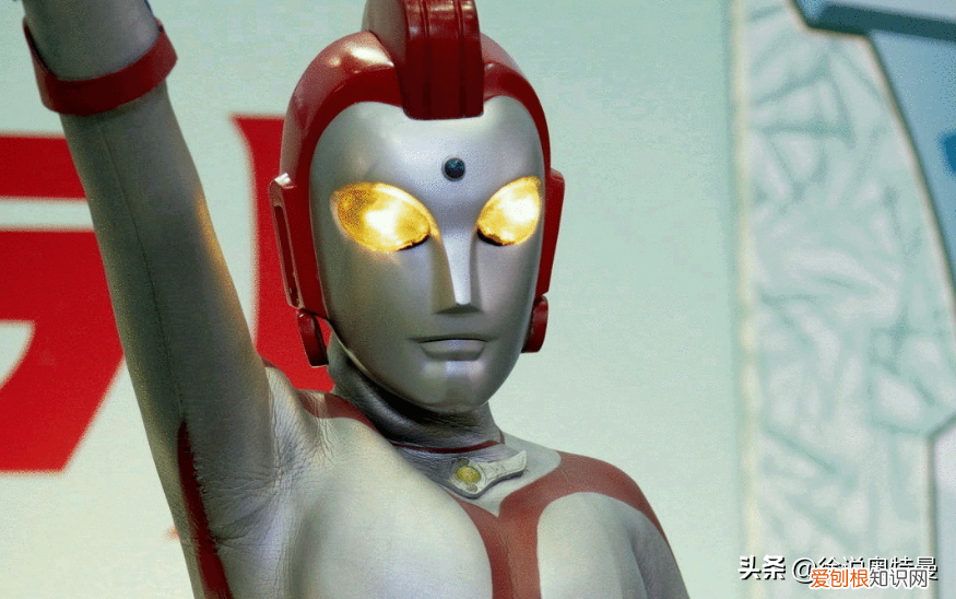 这5个女奥特曼,你一定不陌生 女奥特曼名字有哪些?