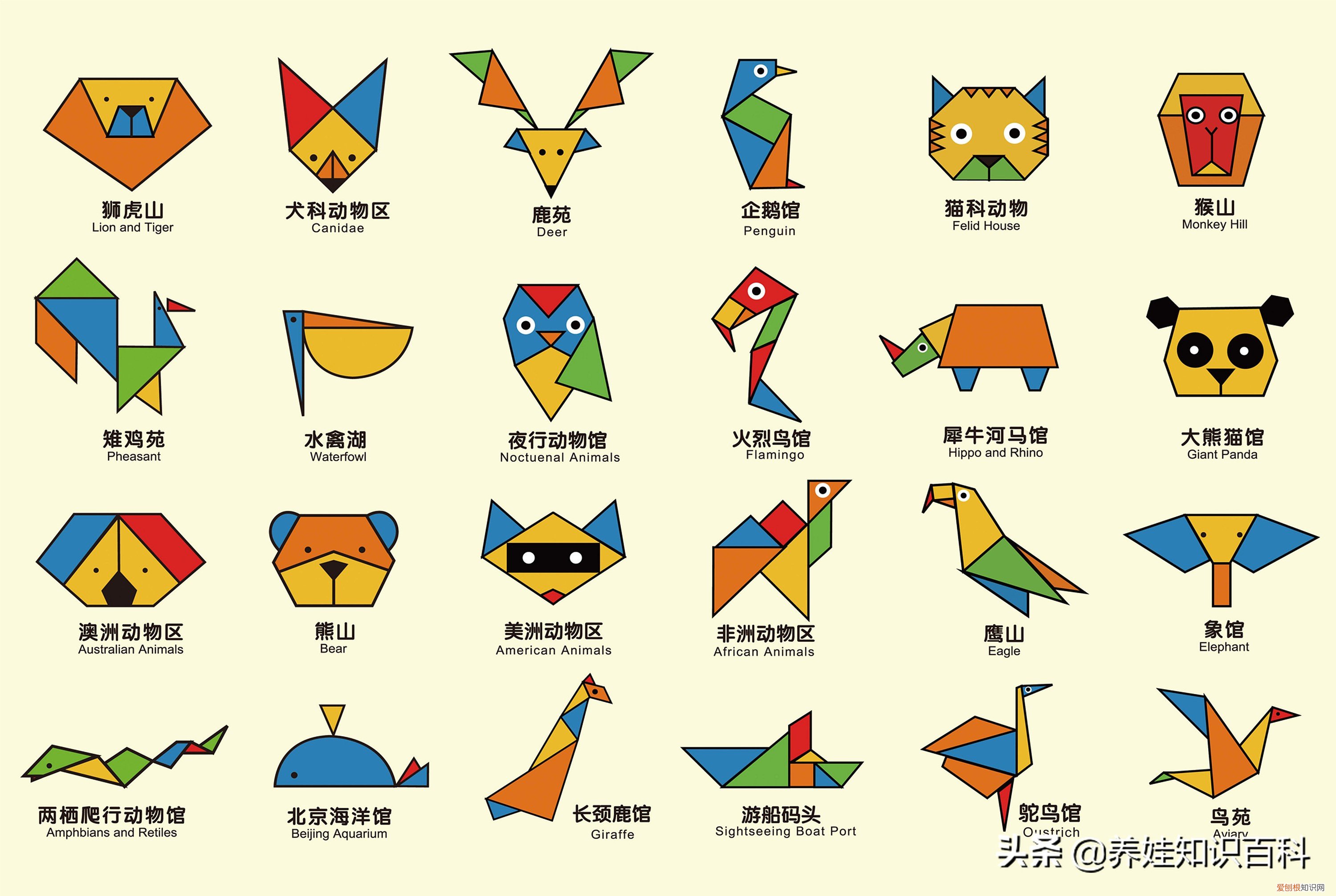 七巧板拼图有几种图形？答案可能出乎意料