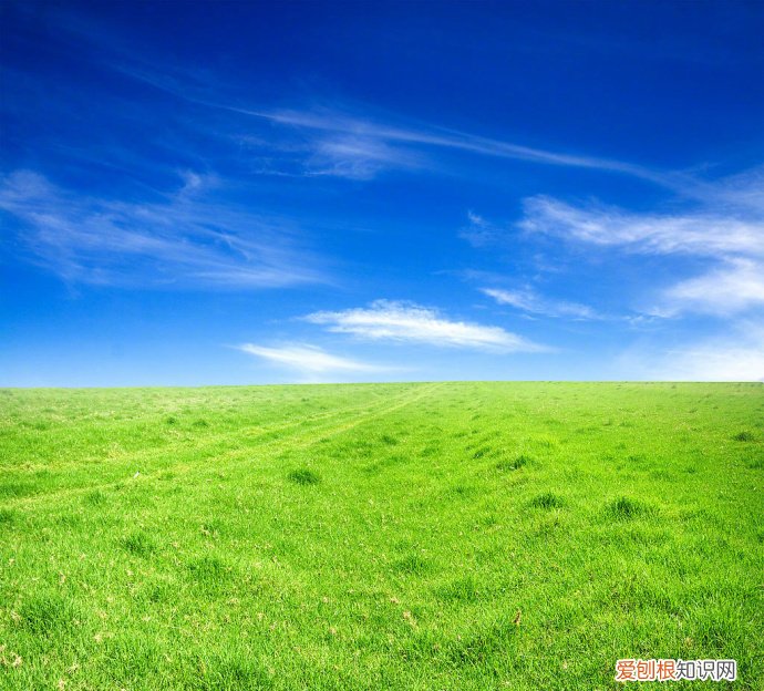 很经典的感悟人生的文案 感慨人生的句子