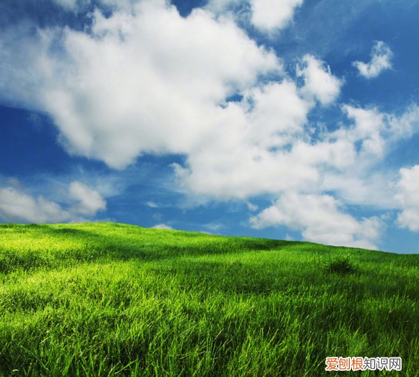 很经典的感悟人生的文案 感慨人生的句子