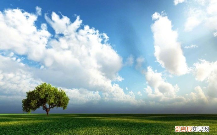 很经典的感悟人生的文案 感慨人生的句子