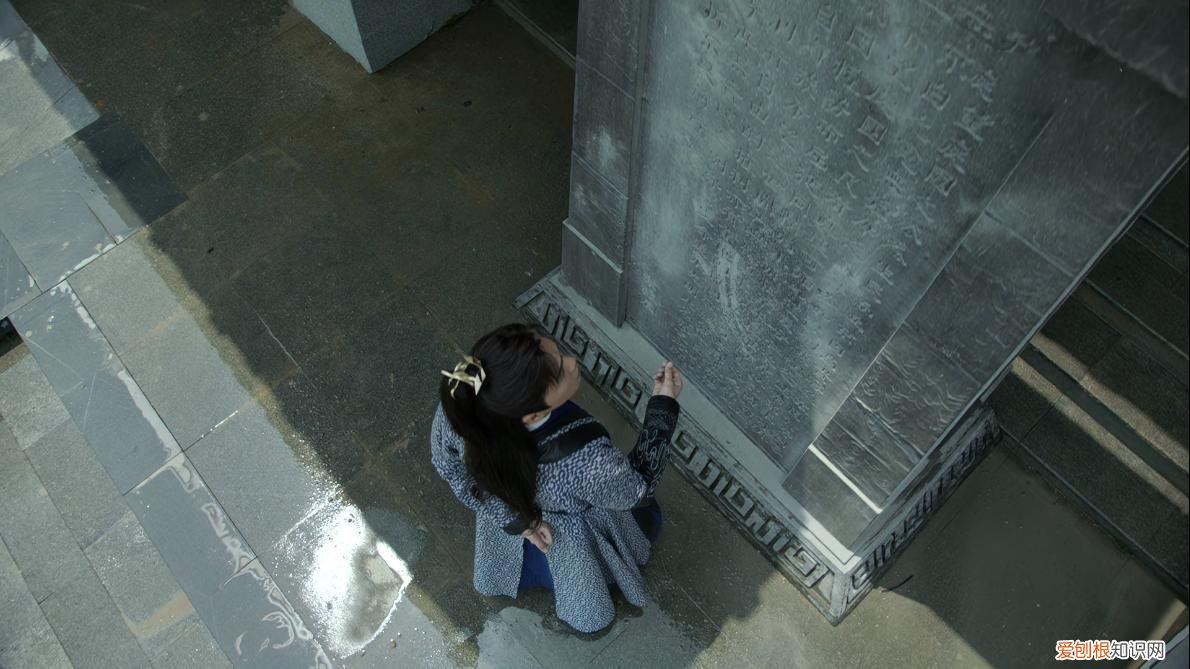 对她而言不过是个借种工具人 叶轻眉为啥要和庆帝生孩子