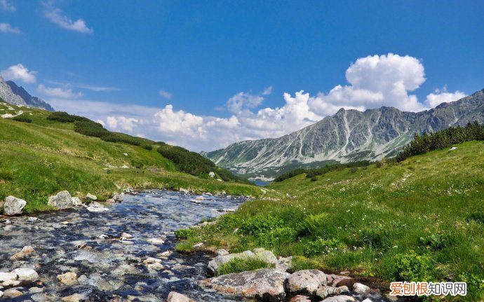 精辟透彻，让人感慨万千 最经典人生感悟语句