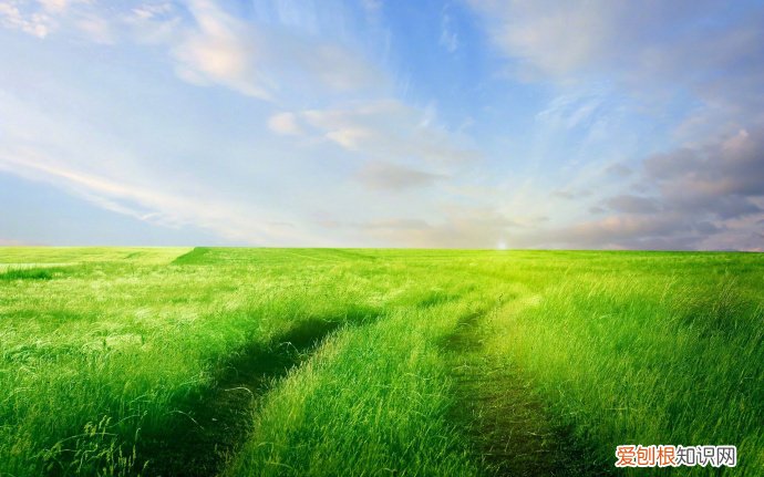 精辟透彻,让人感慨万千 最经典人生感悟语句