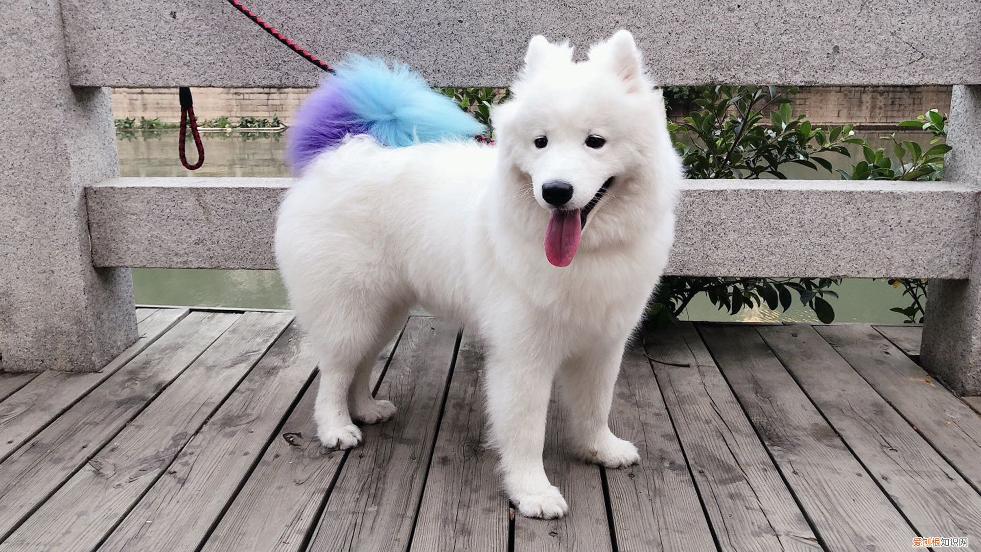 网上的代运营公司到底怎么样 代运营公司可靠吗