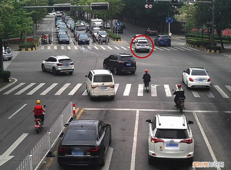 闯红灯几天可以查到违章信息?看看警官怎么说