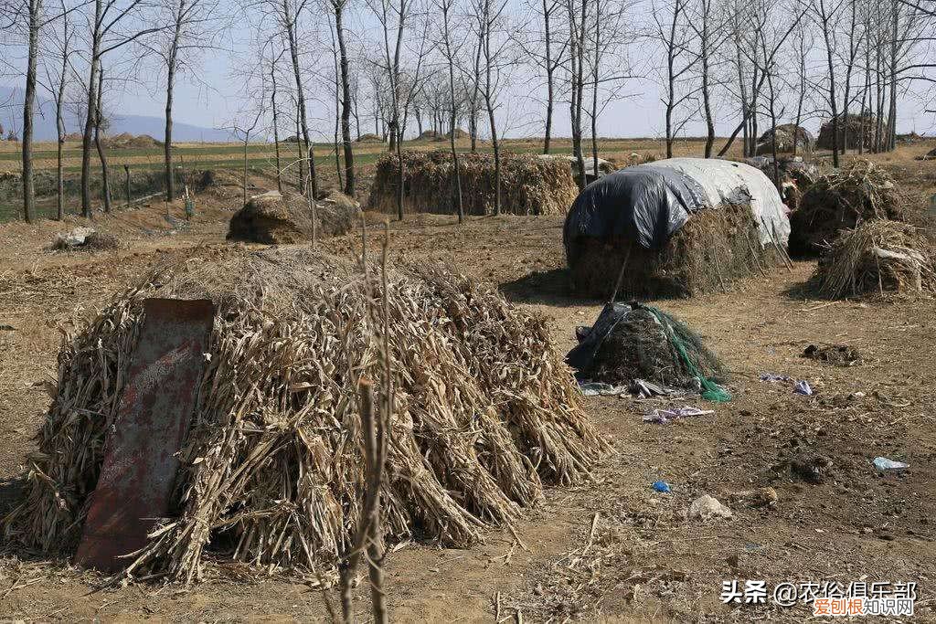 头七有什么讲究禁忌？这些常识早知早好