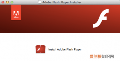 adobe flash player是什么