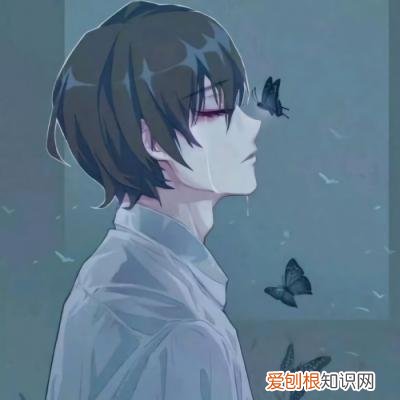 南康白起浮生六记在哪里可以看?