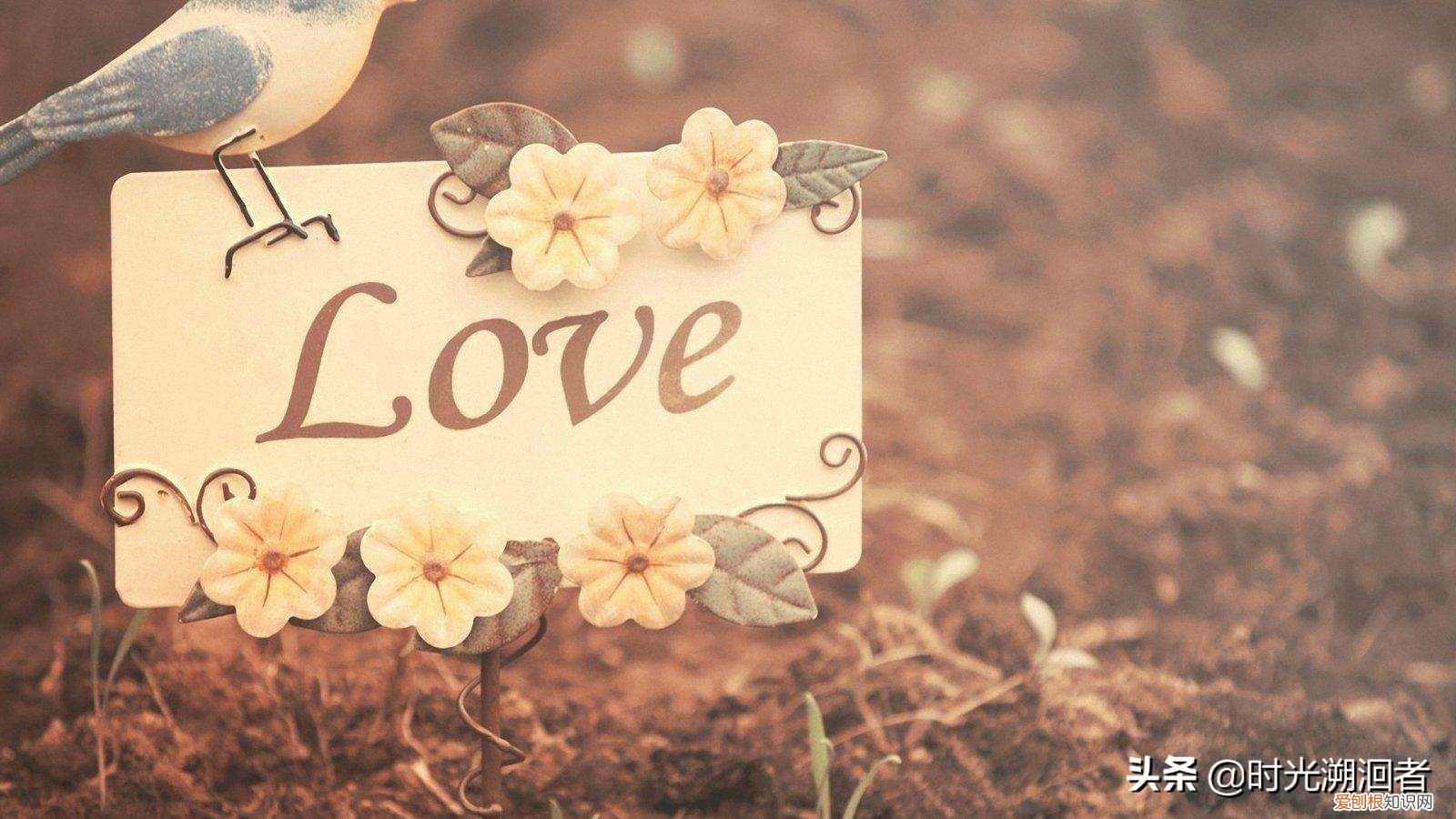 南康白起跳江事件是真的吗?南康白起跳江事件原因