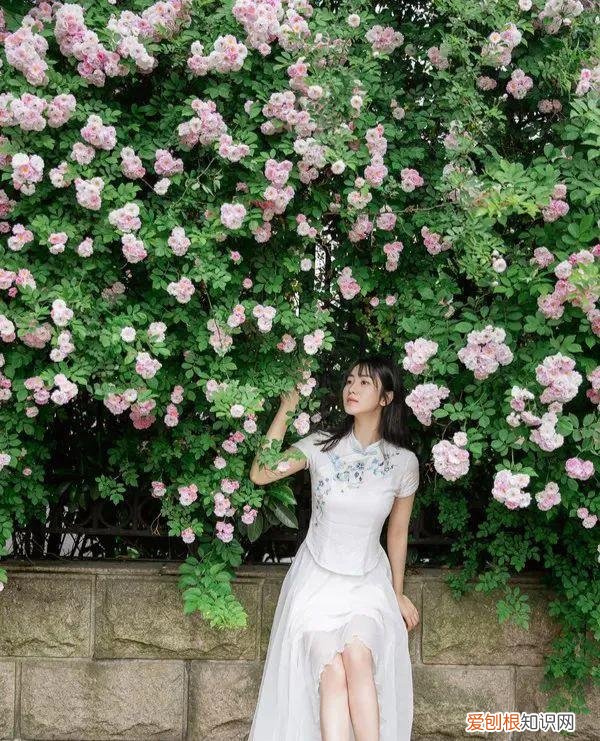 女人的矜持，很重要! 矜持是什么意思