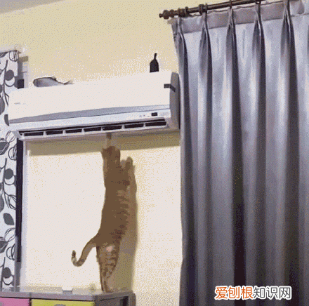 夏天空调应该开多少度适合?最好别低于26℃