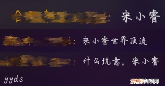 宋小睿为什么会被那么多人黑 宋小睿为什么不用上学